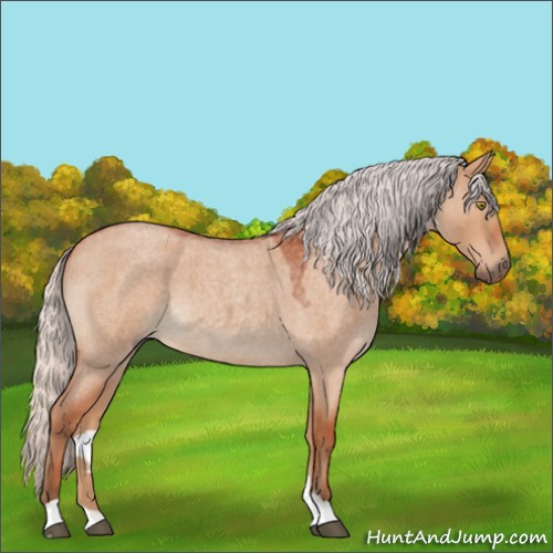 Horse Color:Silver Brown Roan Dun 