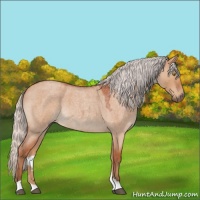 Horse Color:Silver Brown Roan Dun 
