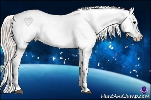 Horse Color:Silver Black Blanket Rabicano 