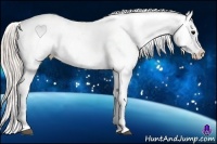 Horse Color:Silver Black Appaloosa Rabicano