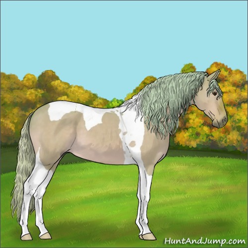 Horse Color:Watercolor Silver Brown Dun Tobiano 