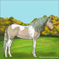 Horse Color:Watercolor Silver Brown Dun Tobiano