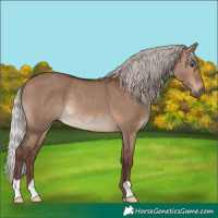 Horse Color:Silver Brown Dun Rabicano 
