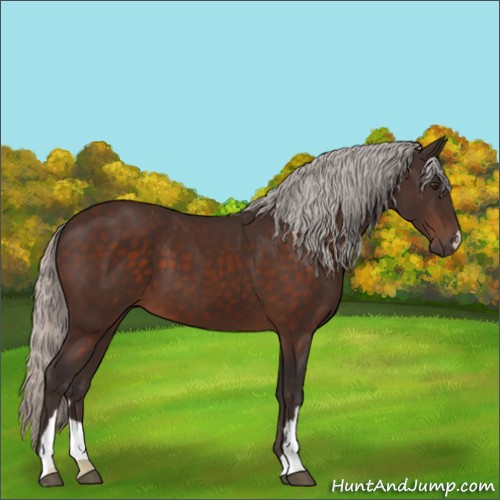 Horse Color:Silver Brown