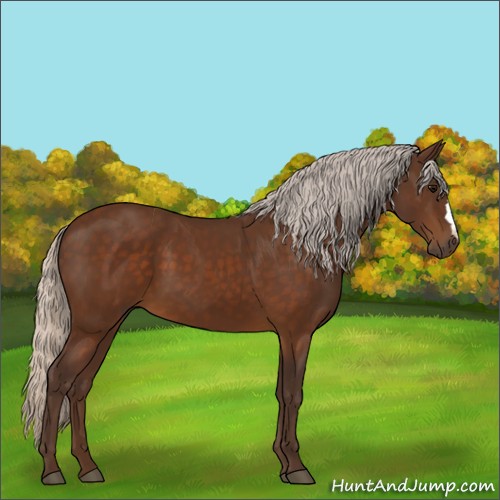 Horse Color:Silver Buckskin 