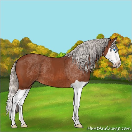 Horse Color:Silver Bay Splash 