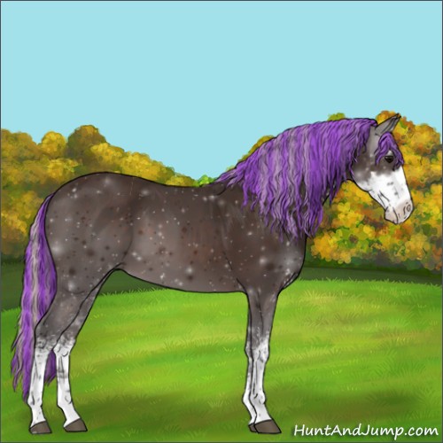 Horse Color:Painted Silver Brown Sabino 