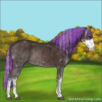 Horse Color:Painted Silver Brown Sabino 