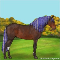 Horse Color:Painted Silver Brown Sabino