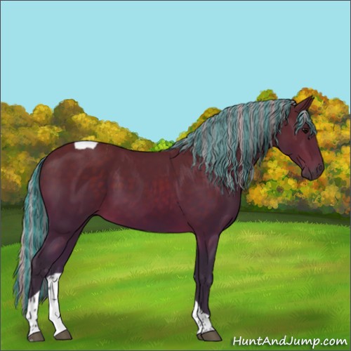 Horse Color:Painted Silver Brown Tobiano