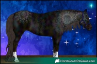 Horse Color:Midnight Liver Chestnut 