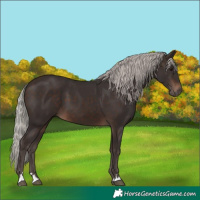 Horse Color:Silver Brown 