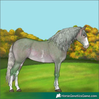 Horse Color:Watercolor Silver Brown Dun Sabino 