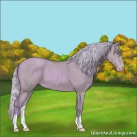Horse Color:Watercolor Silver Sable Champagne 