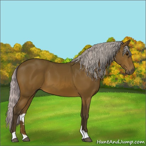 Horse Color:Silver Brown 