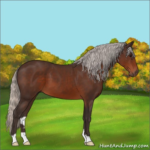 Horse Color:Silver Brown