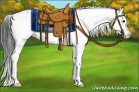 Horse Color:Brown Sabino Splash Appaloosa