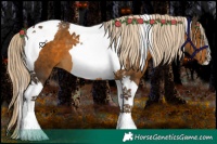 Horse Color:Chocolate Palomino Tobiano 