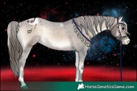 Horse Color:Bay Onyx Appaloosa Rabicano 