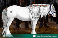 Horse Color:Buckskin Pearl Frame Appaloosa 