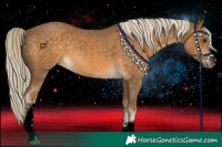 Horse Color:Void White Spotted Chocolate Palomino 