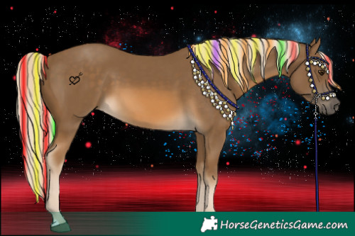 Horse Color:Painted Chocolate Palomino 