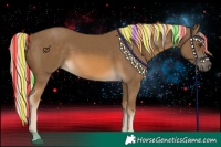 Horse Color:Painted Chocolate Palomino 