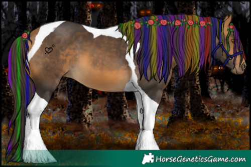 Horse Color:Painted Buckskin Tobiano 