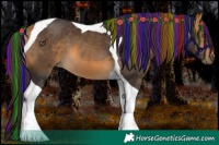 Horse Color:Painted Buckskin Tobiano 