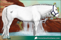 Horse Color:Silver Brown Roan Near Leopard Rabicano