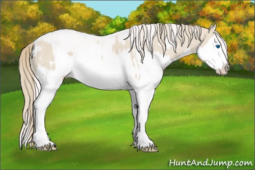 Horse Color:Smoky Creme Splash and Smoky Creme Splash