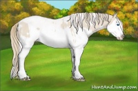 Horse Color:Smoky Creme Splash  and Smoky Creme Splash 