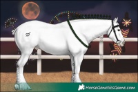 Horse Color:White Spotted Silver Brown Onyx Appaloosa 