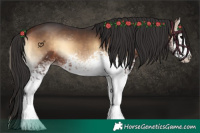 Horse Color:White Spotted Bay Onyx 
