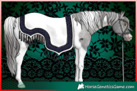 Horse Color:Brown Tobiano Blanket 