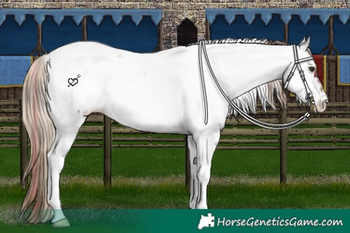 Horse Color:Plaid Liver Chestnut Tobiano Near Fewspot
