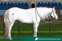 Horse Color:Plaid  Liver Chestnut Tobiano Near Fewspot 