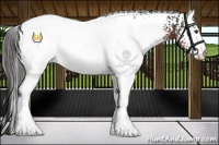 Horse Color:White Spotted Liver Chestnut Near Fewspot 