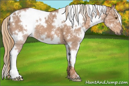 Horse Color:White Spotted Chestnut Ice 