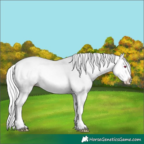 Horse Color:Silver Sable Cream Champagne Chinchilla Onyx Splash