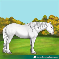 Horse Color:Silver Sable Cream Champagne Chinchilla Onyx Splash 