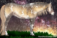 Horse Color:White Spotted Chocolate Palomino Ice Onyx Rabicano 