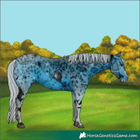 Horse Color:ERROR: UNKNOWN ANOMALY