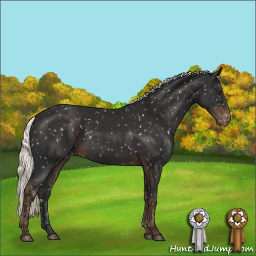 Horse Color:Liver Chestnut Mushroom Snowflake Varnish