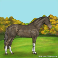 Horse Color:Chocolate Palomino Mushroom Appaloosa 