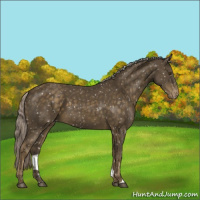 Horse Color:Chocolate Palomino Mushroom Snowflake Varnish 