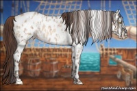 Horse Color:Sable Champagne Roan Near Leopard and Sable Cream Champagne Roan Dun Near Leopard