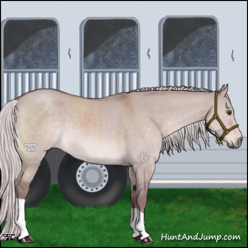 Horse Color:Platinum Chocolate Silver Bay Dun 
