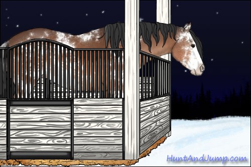 Horse Color:Bay Sabino Rabicano 