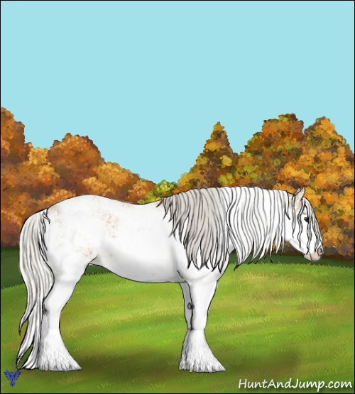 Horse Color:Silver Buckskin Sabino